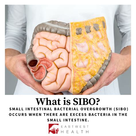 What is SIBO - calories, carbs, nutrition